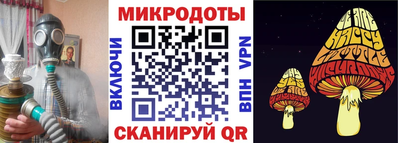 hydra сайт  Макаров  Псилоцибиновые грибы Psilocybe 
